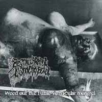 Bestially Raped Till Dismembered : Bestially Raped Till Dismembered - Thunder Of Anal Distortion